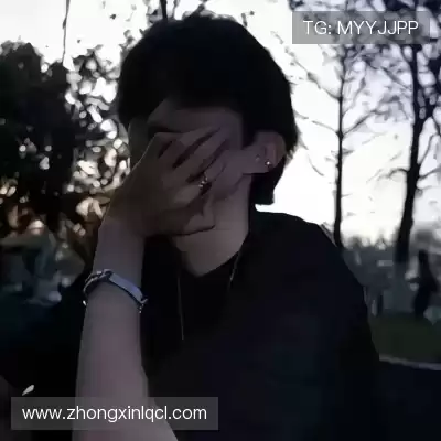 祝娓书